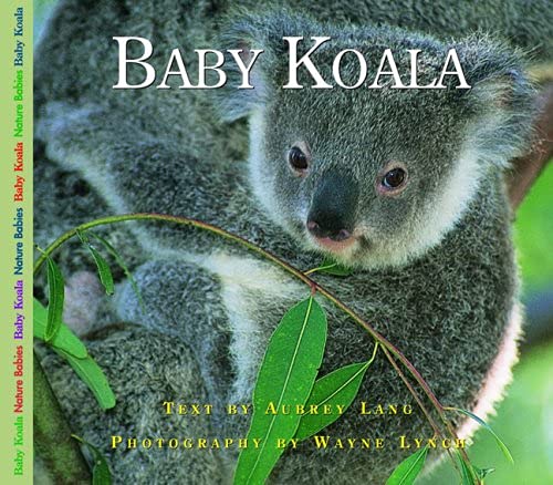 Baby Koala (Nature Babies),Used