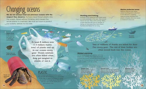 Earth'S Incredible Oceans (The Magic And Mystery Of The Natural World)