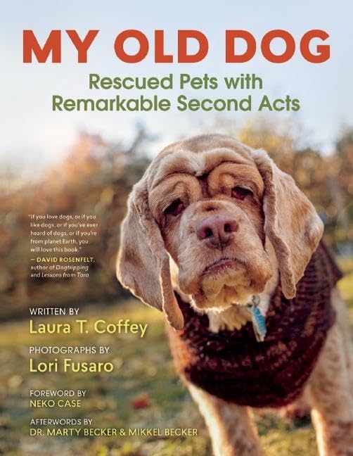 My Old Dog: Rescued Pets With Remarkable Second Acts,Used