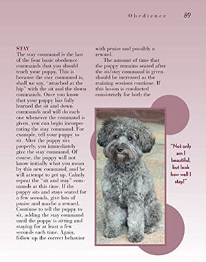 Schnoodle (CompanionHouse Books) (Designer Dog),Used