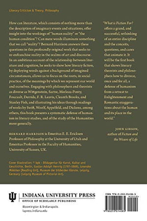 What Is Fiction For?: Literary Humanism Restored,Used