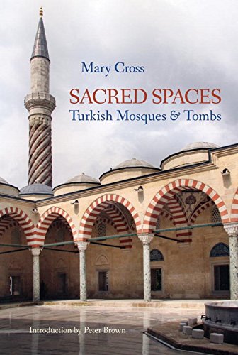 Sacred Spaces: Turkish Mosques & Tombs,Used