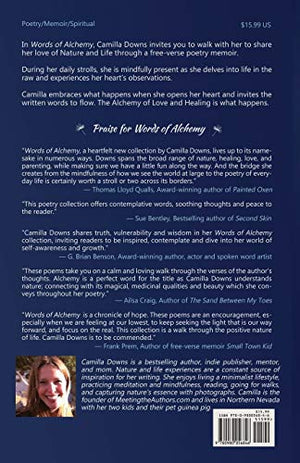 Words of Alchemy,Used