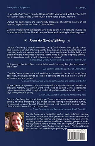 Words of Alchemy,Used