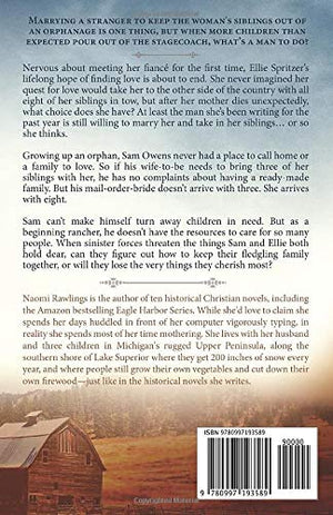 Tomorrows First Light: Historical Christian Romance (Texas Promise)-new
