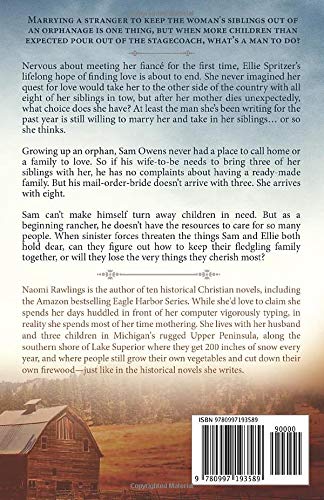 Tomorrows First Light: Historical Christian Romance (Texas Promise)-new