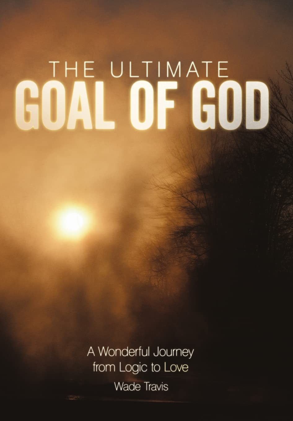 The Ultimate Goal Of God: A Wonderful Journey From Logic To Love,Used