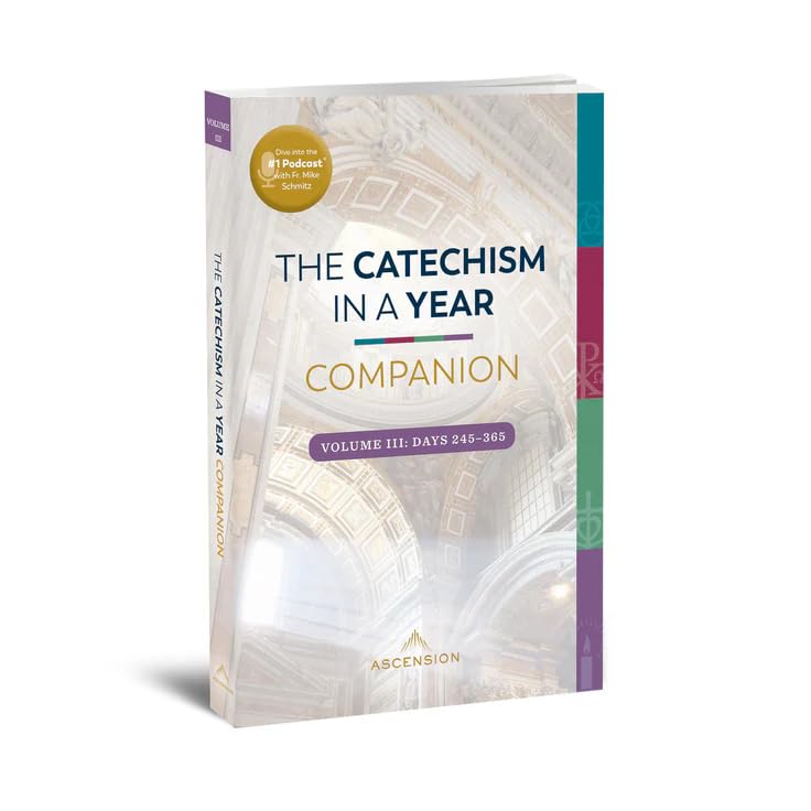Catechism In A Year Companion, Volume Iii (Catechism In A Year Companions)