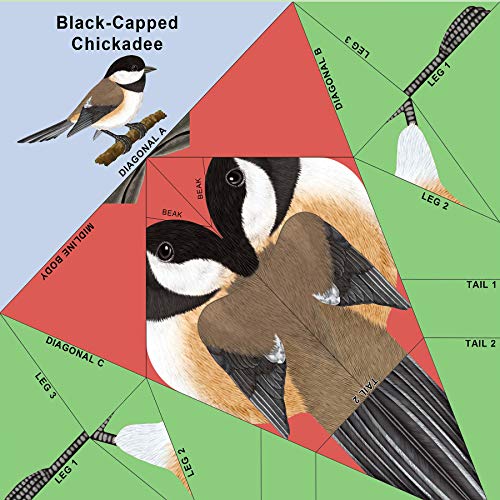 Easy Bird Origami: 30 PrePrinted Bird Models (Dover Origami Papercraft),Used