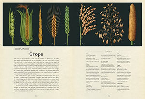 Botanicum: Welcome to the Museum,New