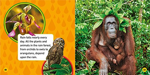 Explore My World Rain Forests,Used