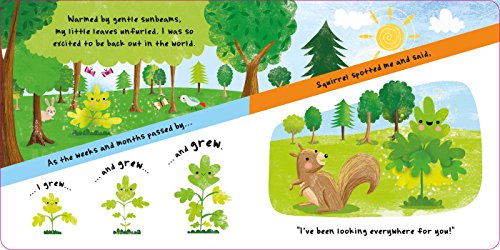 Igloo Books Little Acorn - Engaging Children's Book for Early Readers