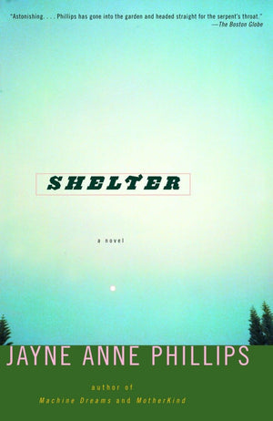 Shelter: A Novel