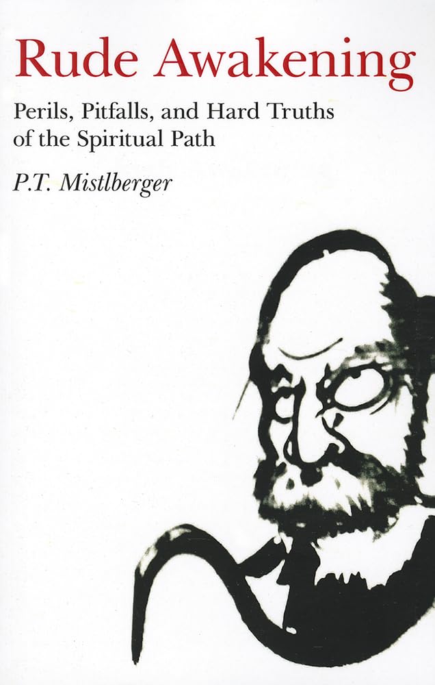Rude Awakening: Perils, Pitfalls, and Hard Truths of the Spiritual Path,Used