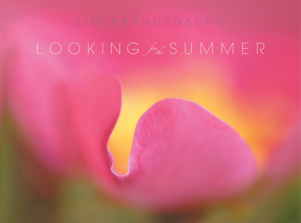 Looking For The Summer