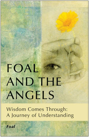 Foal And The Angels: Wisdom Comes Through: A Journey Of Understanding,Used