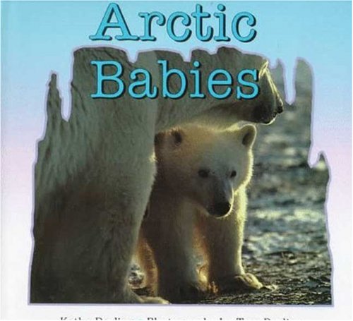 Arctic Babies,Used