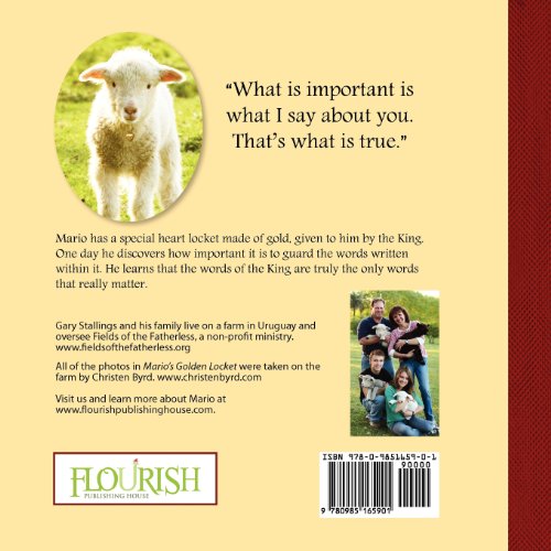 Mario's Golden Locket,Used