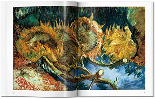 Vincent van Gogh: 18531890, Vision and Reality,Used