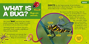 National Geographic Little Kids First Big Book Of Bugs (National Geographic Little Kids First Big Books),Used