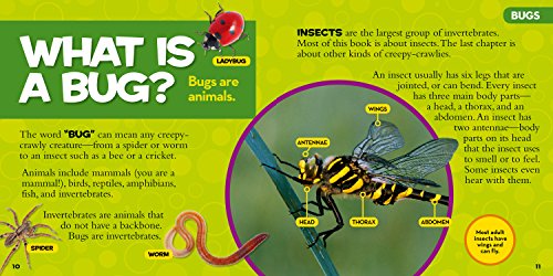 National Geographic Little Kids First Big Book Of Bugs (National Geographic Little Kids First Big Books),Used