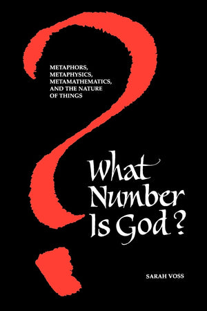 What Number Is God?: Metaphors, Metaphysics, Metamathematics, and the Nature of Things (Suny Series in Western Esoteric Traditio,Used