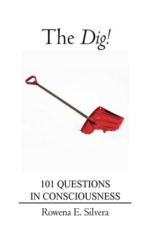 The Dig!: 101 Questions In Consciousness,Used