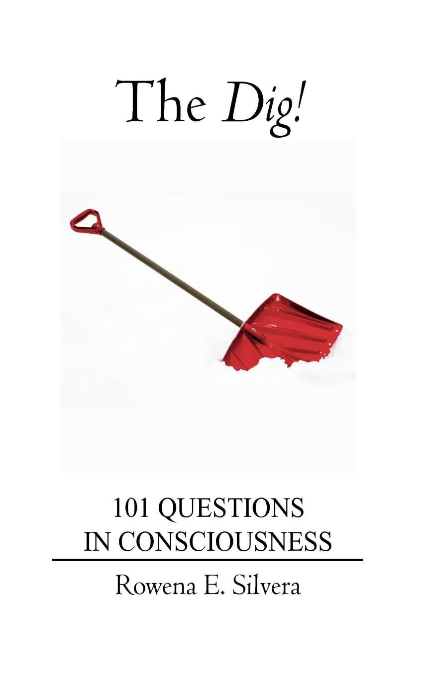 The Dig!: 101 Questions In Consciousness,Used