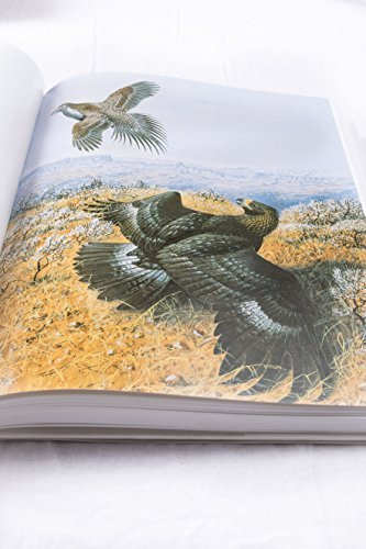 Compleat Falconer,Used