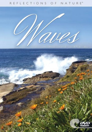 Waves-New Condition