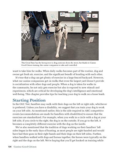 Canine Good Citizen: The Official AKC Guide, 2nd Edition: Ten Essential Skills Every WellMannered Dog Should Know (CompanionHou,Used