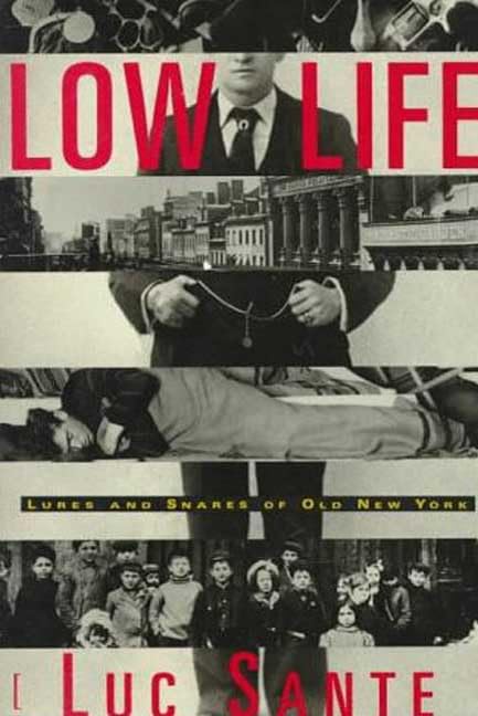 Low Life: Lures And Snares Of Old New York