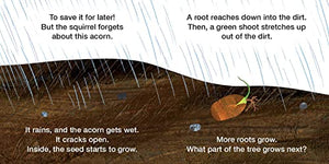 How Does A Seed Sprout?: Life Cycles With The Very Hungry Caterpillar (The World Of Eric Carle)-new