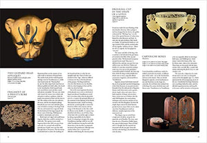 Tutankhamun: The Treasures of the Tomb,Used