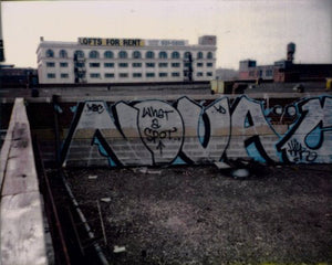 Vandal Squad: Inside the New York City Transit Police Department, 19842004,Used