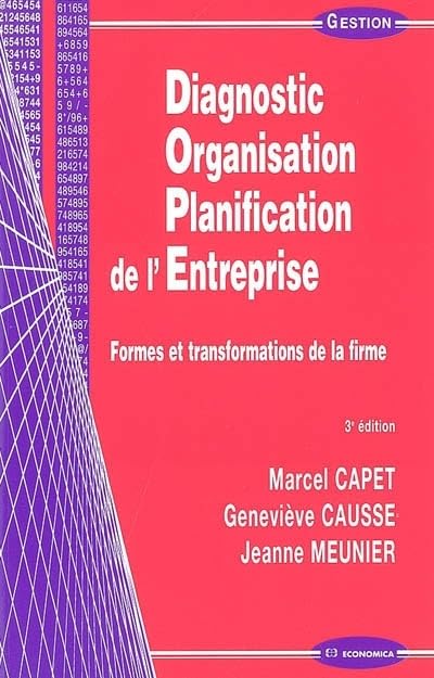 Diagnostic, organisation, planification de l'entreprise  formes et transformations de la firme,Used