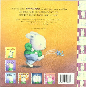 Cuando estoy enfadado (Spanish Edition),Used