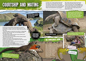 Reptiles (Reproduction),Used