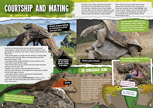 Reptiles (Reproduction),Used