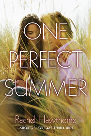 One Perfect Summer: Labor of Love and Thrill Ride,Used