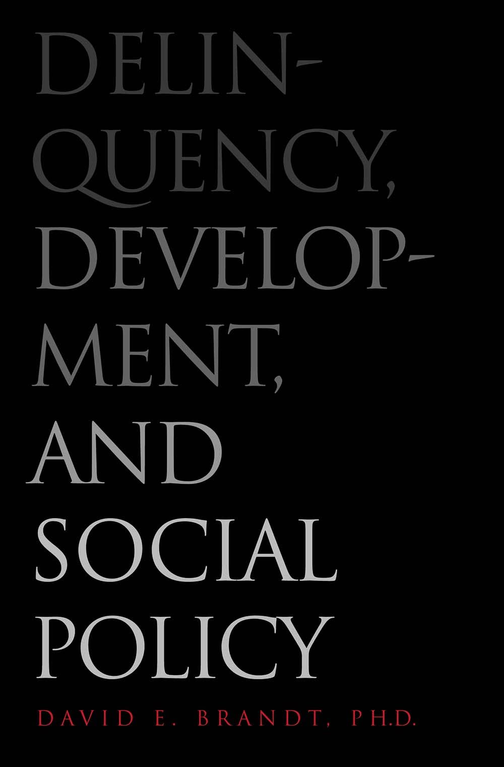Delinquency, Development, and Social Policy (Current Perspectives in Psychology),Used