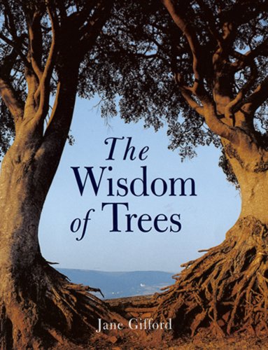 The Wisdom Of Trees