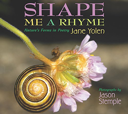 Shape Me a Rhyme,Used