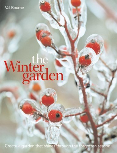 The Winter Garden: Create a Garden that Shines Through the Forgotten Season,Used