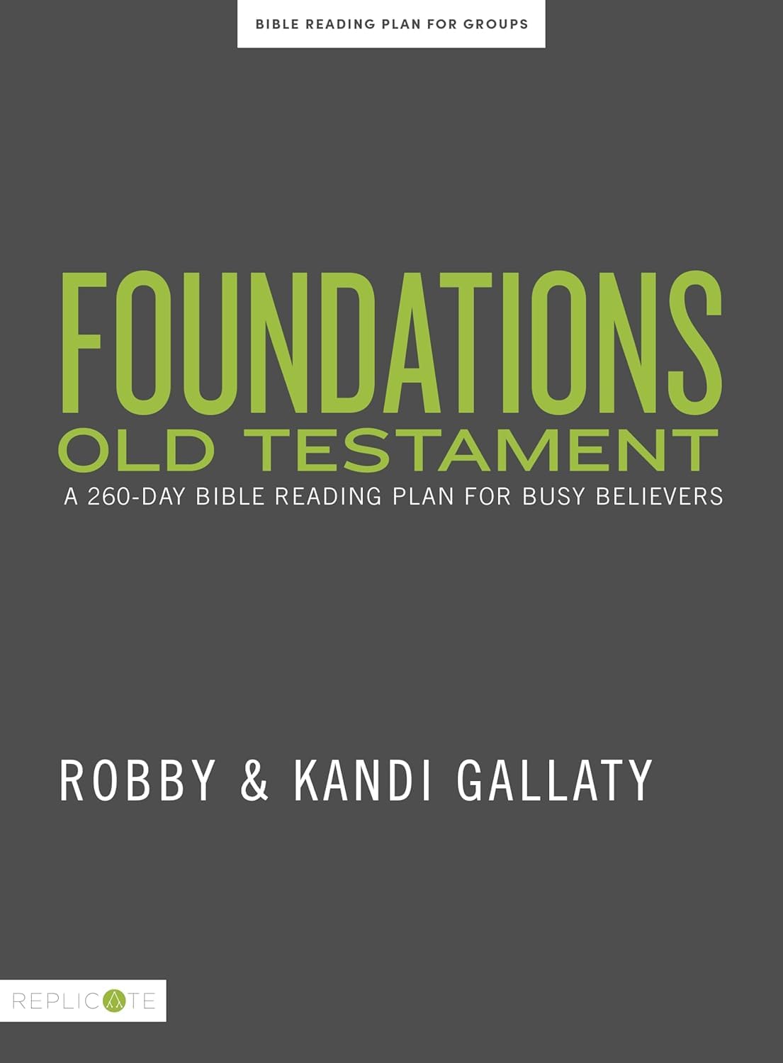 Foundations Old Testament: A 260Day Bible Reading Plan for Busy Believers,Used