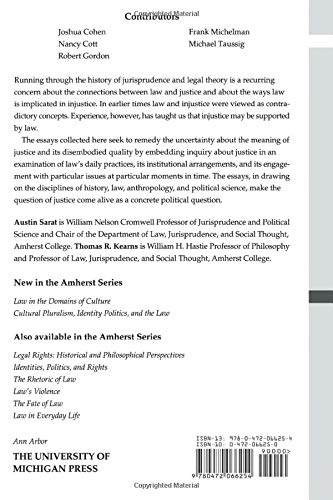 Justice and Injustice in Law and Legal Theory (The Amherst Series In Law, Jurisprudence, And Social Thought),Used