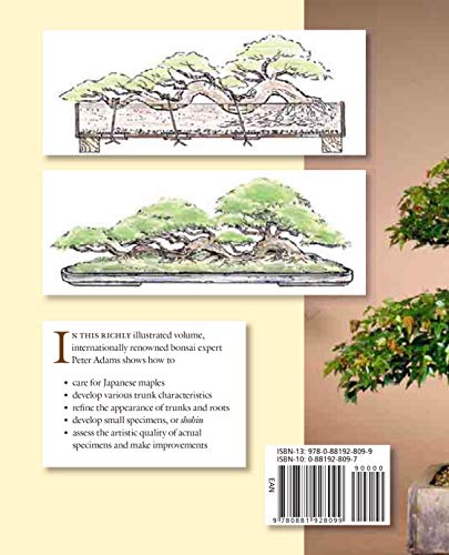 Bonsai with Japanese Maples,New