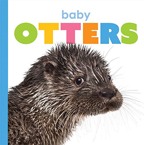 Baby Otters (Starting Out)