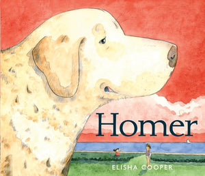 Homer,Used