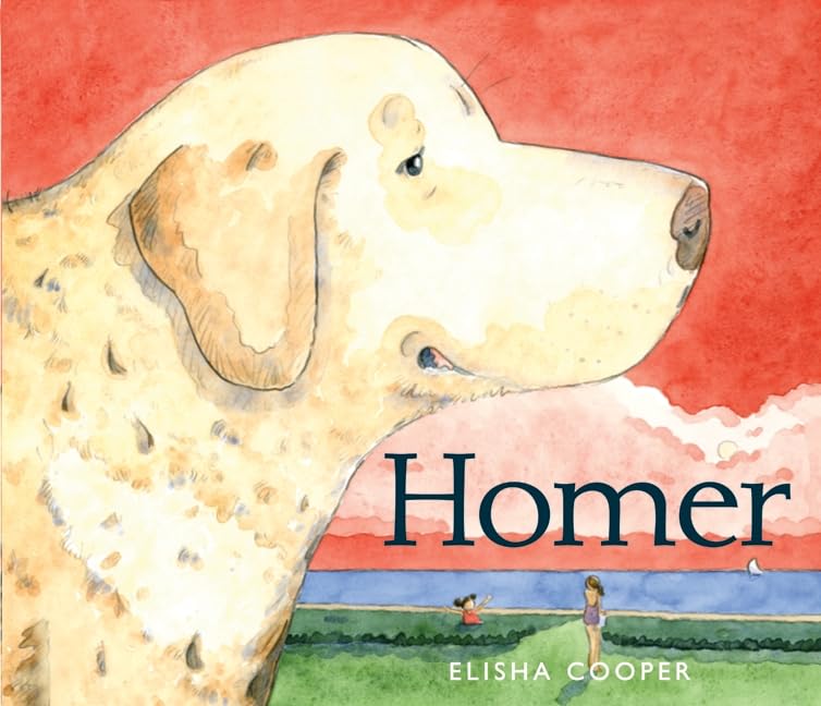Homer,Used
